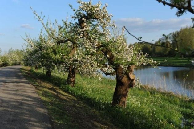 Bed & Breakfast De Neust Beesd Esterno foto